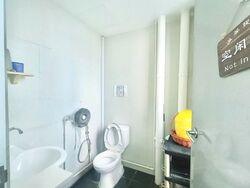 Vertex (D14), Factory #502730641